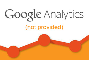 Google Analyticsteki Not provided sorunu sizi nasil etkiliyor